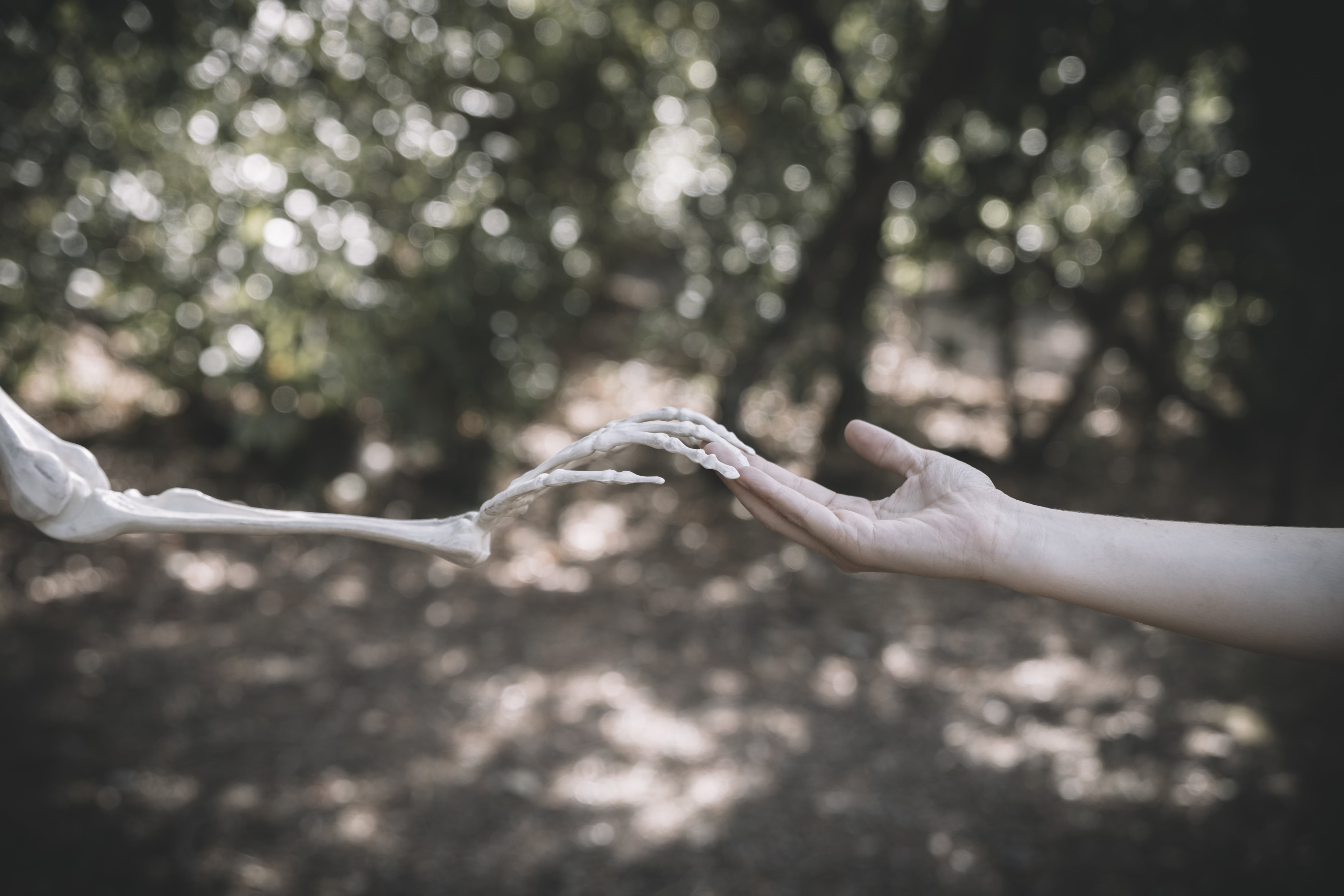 Anime Inspiring Fitness: A True Tale of Motivation