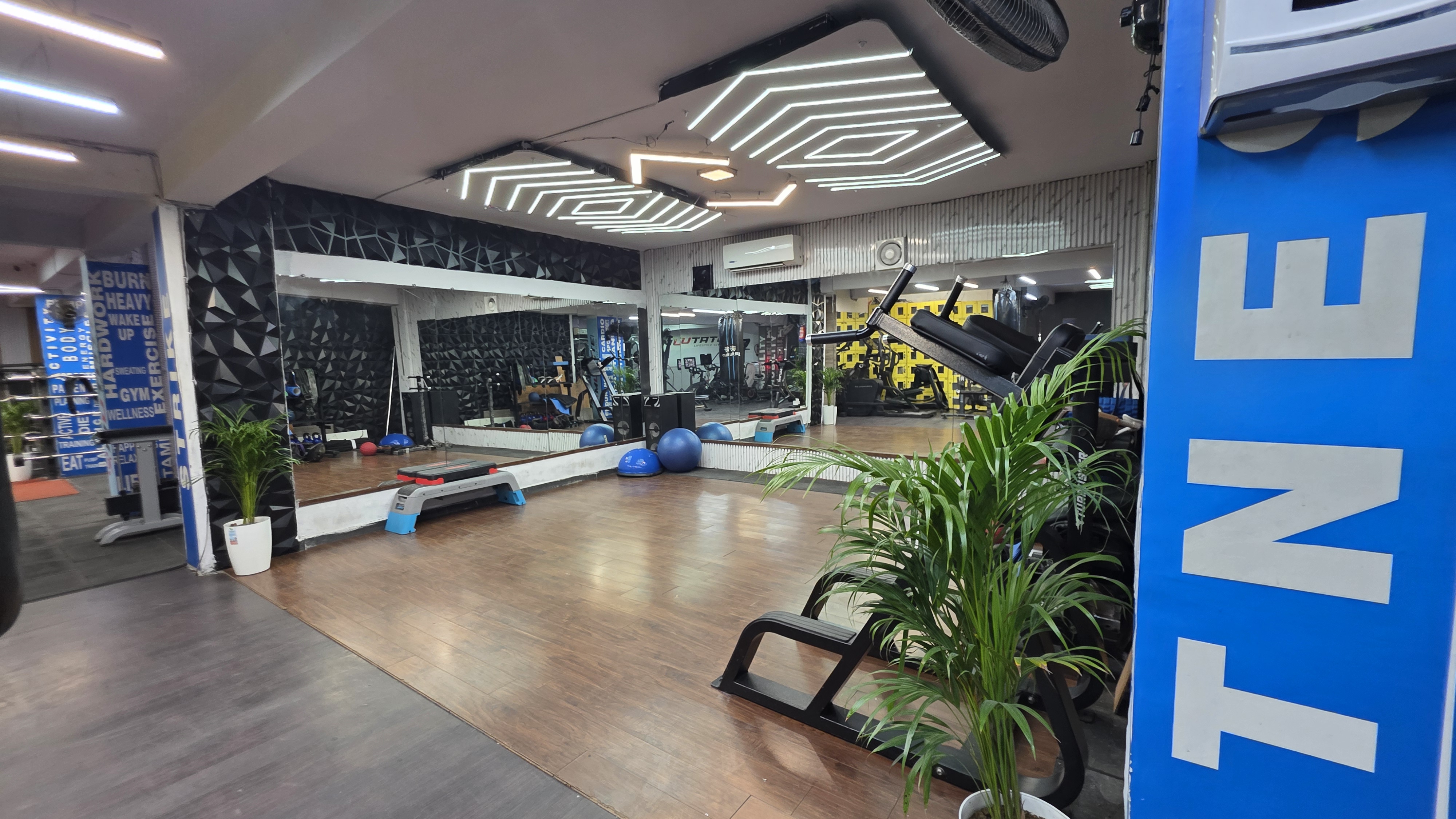 WTF Gym Punjabi Bagh , Delhi